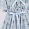 短い袖および花およびリボンの印刷物が付いている軽い青いシフォンの服