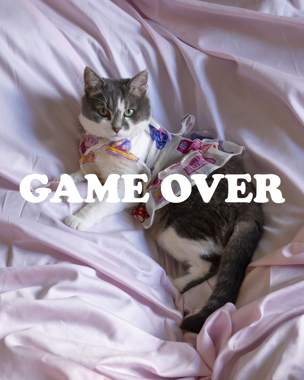 「ハートの女王」ベルベットジャケット2nd支払い